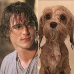 Profile Picture of Jacob As Puppies (@jelordiaspuppies) on Instagram