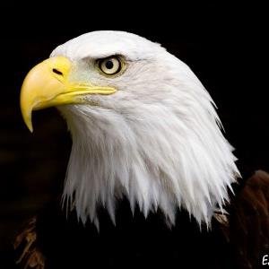 Profile Picture of Barry Hyland (@barry_hyland) on Twitter