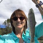 Profile Picture of Linda Mitchell Swearingen (@lindamitchellswearingen) on Instagram