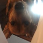 Profile Picture of Trey Barker™ (@trey.barker7) on Instagram