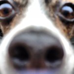 Chase Mcmillan - Instagram Profile Picture of Chase Mcmillan (@mau5trapper) on Instagram