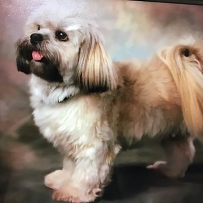 Profile Picture of Marsha Myers-Jones (@mmyersjones) on Twitter