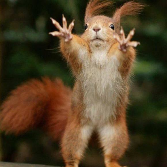 Profile Picture of David Amos (@amosdavid281) on Poshmark