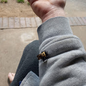 Profile Picture of Michael Pratt (@michaelpratt8197) on Youtube