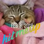 Profile Picture of john (@johnspingler05) on Instagram