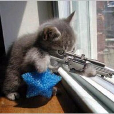 Profile Picture of James Whedon (@JamesWhedon) on Twitter