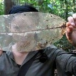 Profile Picture of Geraldine Coll Cardenas Liza (@cclgeraldine) on Instagram