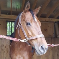 Profile Picture of Mackenzie Brewer (@mackenzie-brewer-8) on Quora