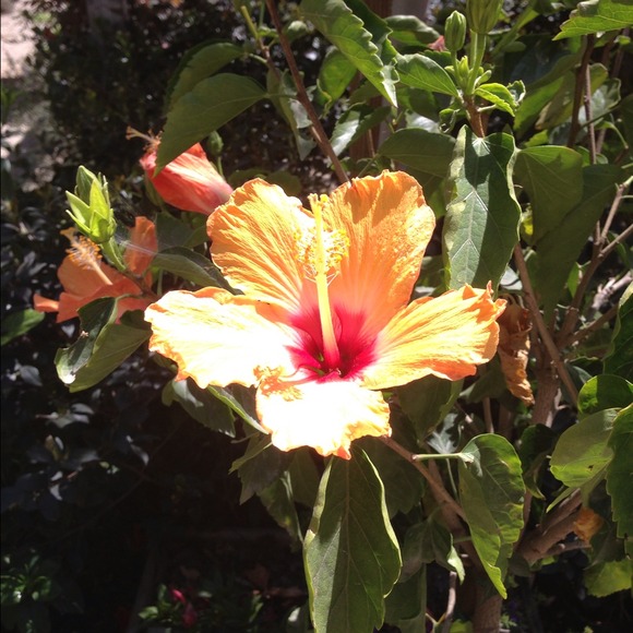 Pia Lopez - Poshmark Profile Picture of Pia Lopez (@piyuuh) on Poshmark