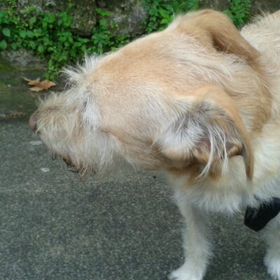 Profile Picture of Angelo Gargiulo (@AngeloGargiulo3) on Twitter
