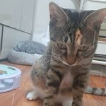 Profile Picture of Lee Jung Yee (@100yongsoon) on Instagram