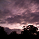 Profile Picture of Maghan Ferguson (@meg's cake gallery) on Flickr