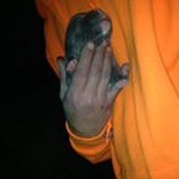 Profile Picture of Dustin Lakin (@dustin-lakin-1) on Quora