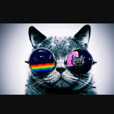 Profile Picture of Joshua Hallam (@Hallam428) on Twitter