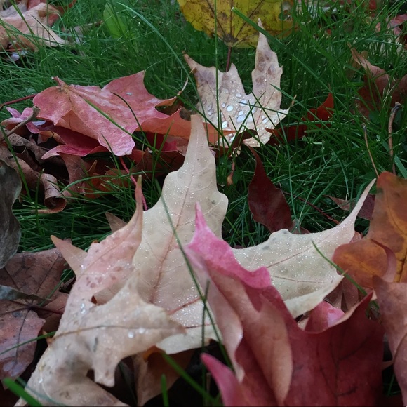 Lexi Lasee - Poshmark Profile Picture of Lexi Lasee (@lexlasee_) on Poshmark