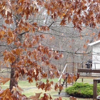 Profile Picture of Pat Harvell (@harvell_pat) on Twitter