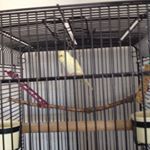 Profile Picture of Brianna Grimley (@breeg16) on Instagram