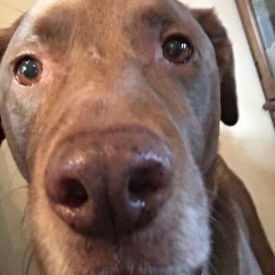 Profile Picture of Jason Keiser (@JasonKeiser3) on Twitter
