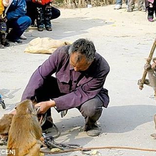 Profile Picture of Bert Haas (@Bert-Haas) on Facebook