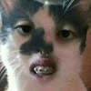 Profile Picture of Yong Zheng (@@yongzheng46) on Tiktok
