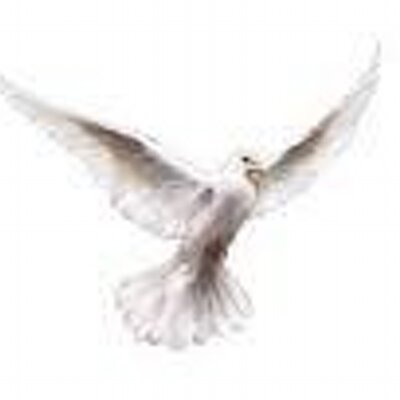Profile Picture of BABU MALIAKAL (@babumdev) on Twitter