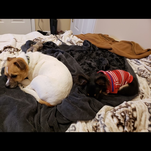 Profile Picture of Stefanie Jenkins (@poolshark1234) on Poshmark