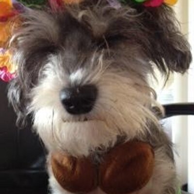 Profile Picture of Chloe Garrett (@chloegarrett3) on Twitter