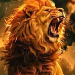 Profile Picture of Cristofeer Lemart (@cristofeer.lemart.7) on Facebook