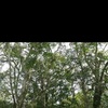Profile Picture of joseph_serrao (@@joseph_serrao) on Tiktok