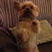 Profile Picture of Marilyn Ratliff (@Marilyn-Ratliff) on Facebook