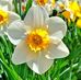 Profile Picture of Joan Marringer (@joan.marringer.370) on Facebook