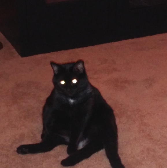 Profile Picture of Anita Lerums (@serenebliss) on Poshmark