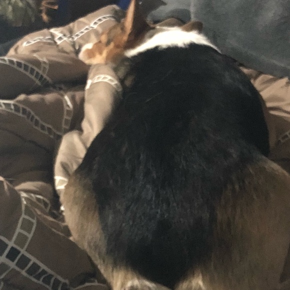 Profile Picture of Kkelsi Keough (@kelsi1130) on Poshmark