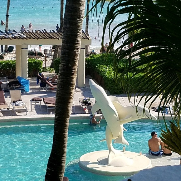 Profile Picture of Michelle Corey (@mcorey08) on Poshmark