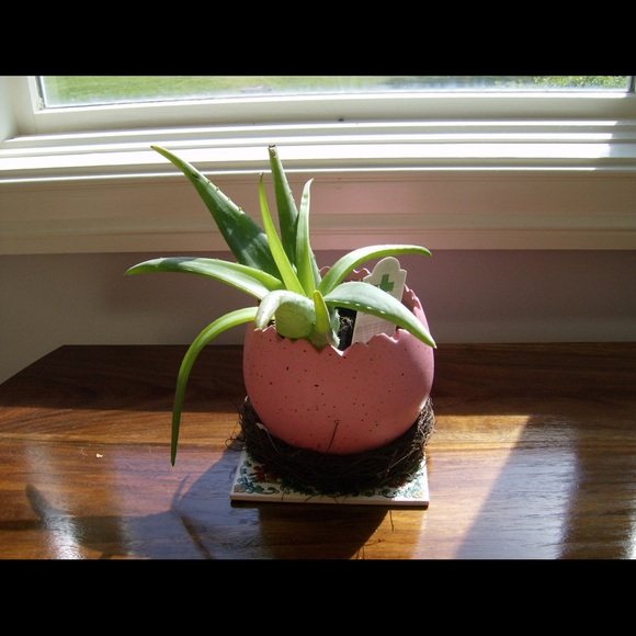 Profile Picture of Audrey Hales (@audreyhales) on Poshmark