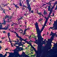 Profile Picture of Charline Muller (@charline-muller) on Quora