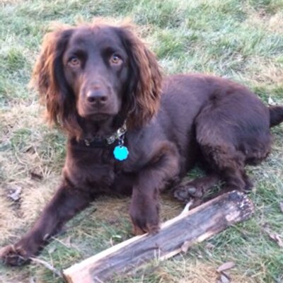 Profile Picture of JoAnnCalhoun (@thebird25) on Twitter