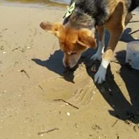 Profile Picture of Scott Cotterell (@scott-cotterell) on Quora