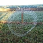 Profile Picture of Alexander Crittenden (@alexander.crittenden.1) on Facebook