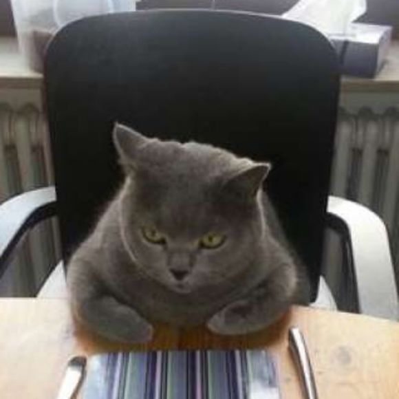 Profile Picture of Mark Reesman (@run4est) on Poshmark