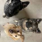 Lori Nuzzo - Facebook Profile Picture of Lori Nuzzo (@Lori-Nuzzo) on Facebook