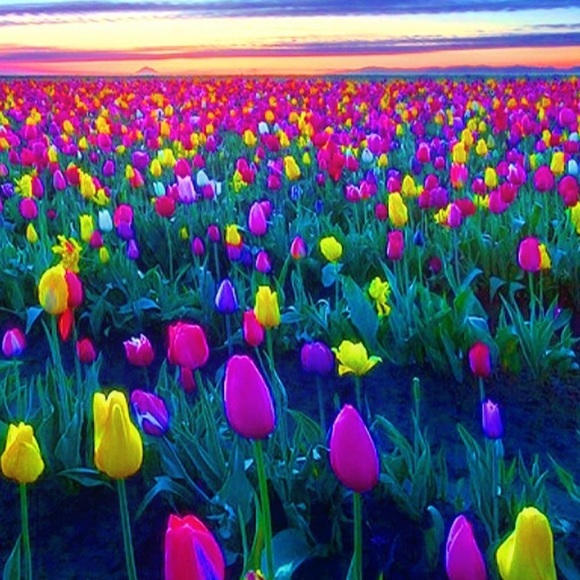 Profile Picture of Amanda Mewhinney (@autumn_breeze42) on Poshmark