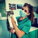 Profile Picture of Alessia Pulsinelli🐺 (@pulsinellialessia) on Instagram