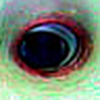 Profile Picture of David Wolfe (@David Wolfe Editions) on Flickr