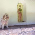 Profile Picture of Neil Lancaster (@stonecrop56) on Instagram