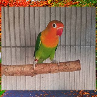 Profile Picture of Antonio Jonas (@jonnas.antonio.7) on Facebook