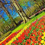 Profile Picture of GETFOLLOWERS - STEPS IN PIC (@julian.marshall__8597) on Instagram