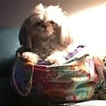 Profile Picture of Gale Sutton-Karnes (@suttonkarnes) on Instagram