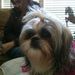 Profile Picture of heather Last Name (@amendolyn) on Pinterest