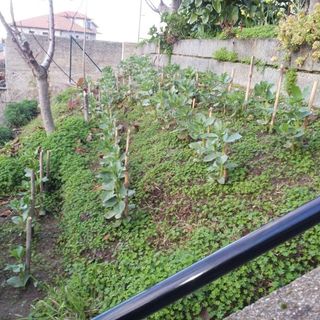 Profile Picture of Vincenzo Dovico (@vincenzo.dovico.33) on Facebook